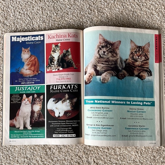 Vintage CATS USA 1999 ANNUAL Magazine Perfect for any cat lover - Picture 6 of 7